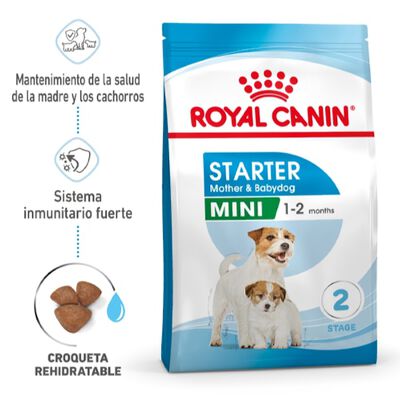 Royal Canin Mini Starter Mother&Baby pienso para perros 